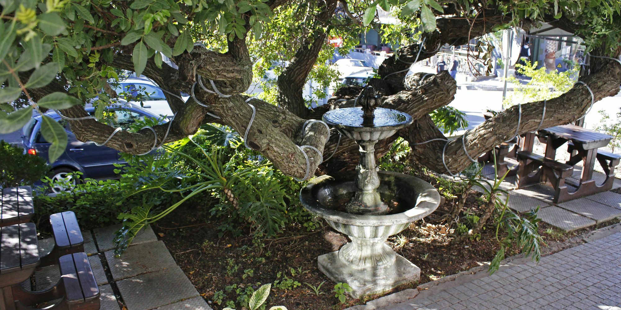 Dixon House In De Waterkant By Cape Finest Cape Town Exterior photo